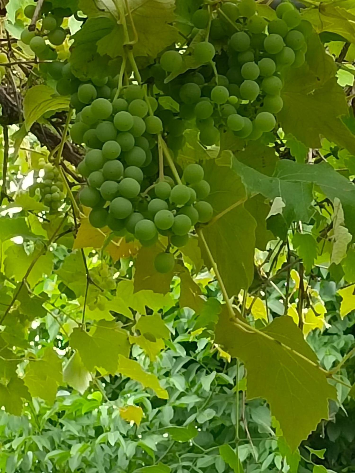 Dimora San Lorenzo Maggio Стая снимка